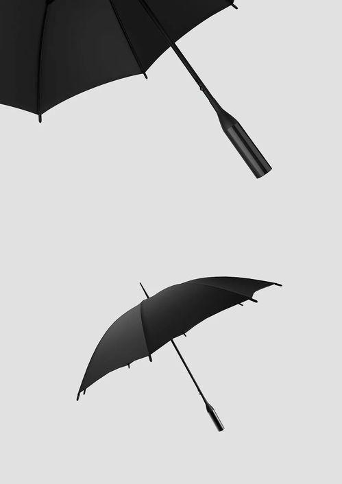 雨伞的设计方案[雨伞设计方案描述]