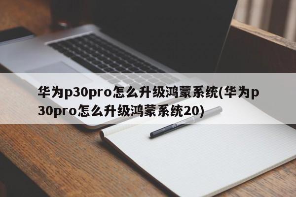 华为p30pro怎么升级鸿蒙系统(华为p30pro怎么升级鸿蒙系统20)