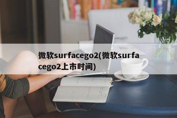 微软surfacego2(微软surfacego2上市时间)