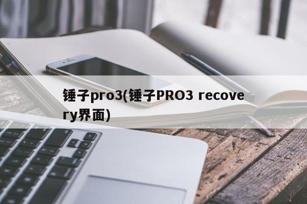 锤子pro3(锤子PRO3 recovery界面)
