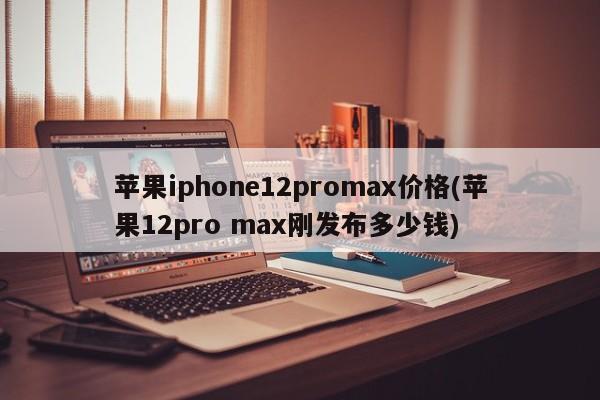苹果iphone12promax价格(苹果12pro max刚发布多少钱)